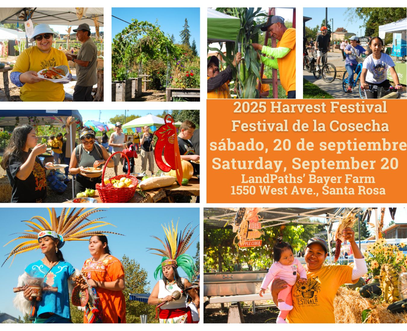 Harvest%20Festival%20graphic-2.jpg