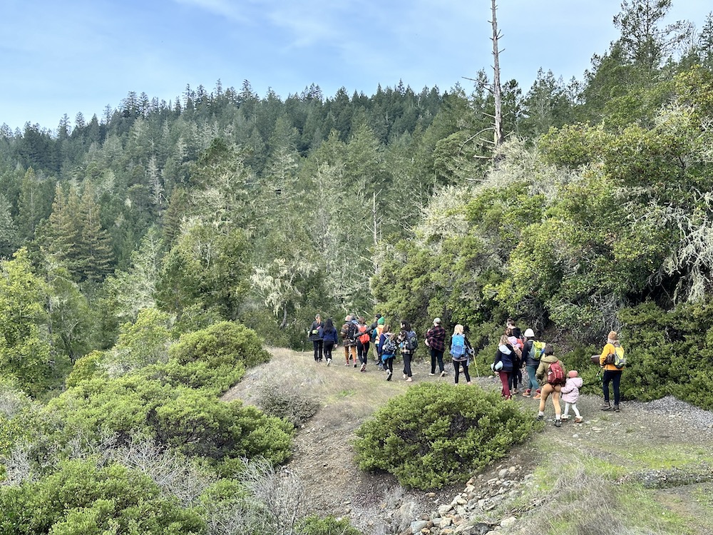 A group of people walk up a dirt path towards a tree-covered hill. 