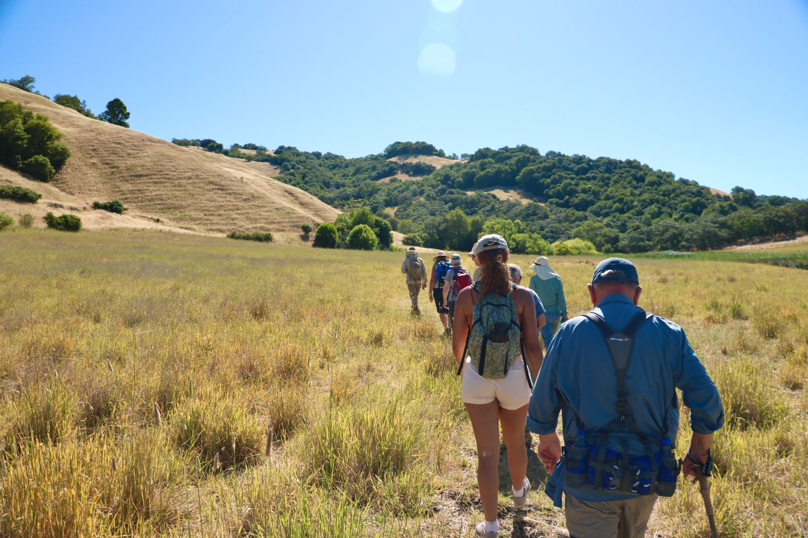 A group of people walk up a dirt path towards a tree-covered hill. 
