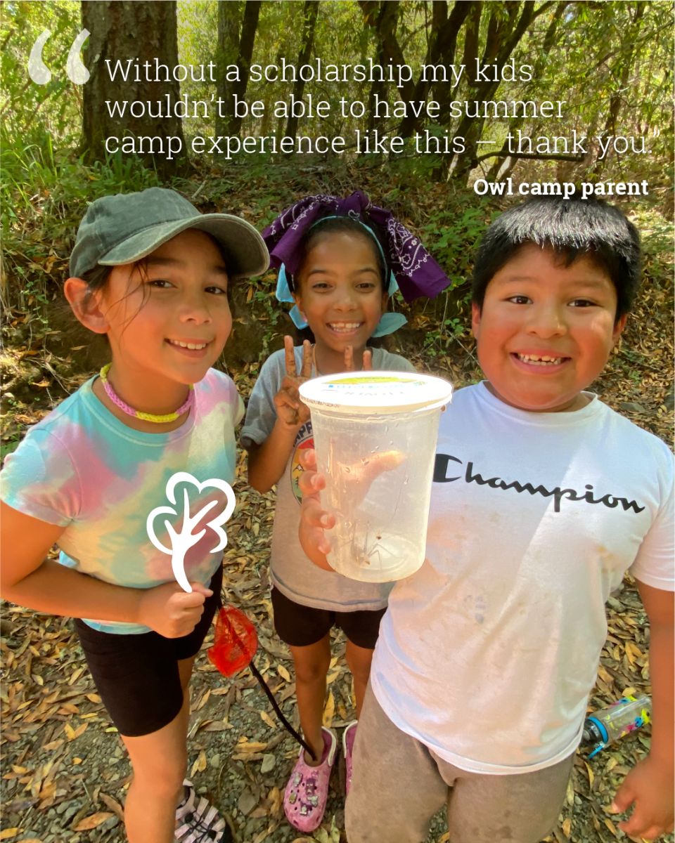 LandPaths_CampsCampaign25_IG-02.jpg